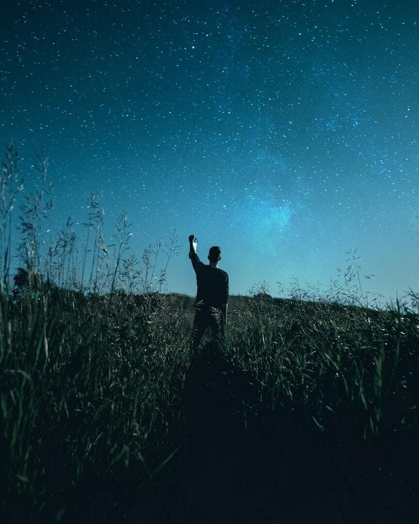 معرض الصور — 1